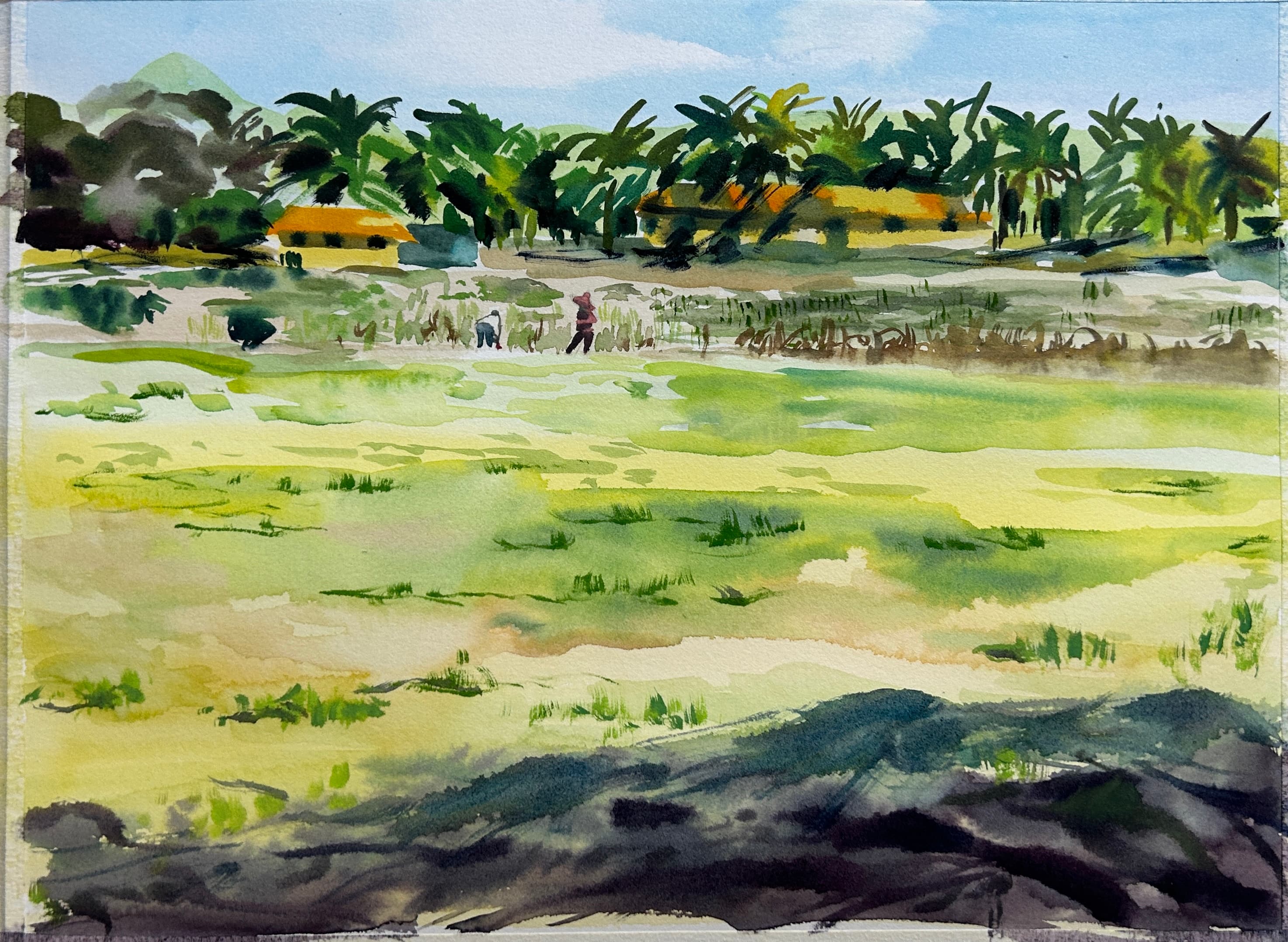 Cornfields by the sea.1